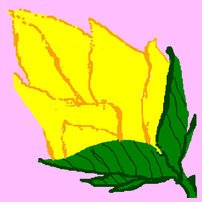 yellowrose.gif